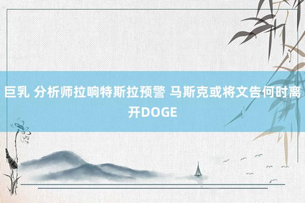 巨乳 分析师拉响特斯拉预警 马斯克或将文告何时离开DOGE