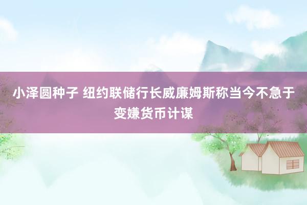 小泽圆种子 纽约联储行长威廉姆斯称当今不急于变嫌货币计谋