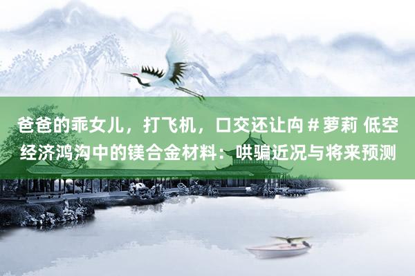 爸爸的乖女儿，打飞机，口交还让禸＃萝莉 低空经济鸿沟中的镁合金材料：哄骗近况与将来预测