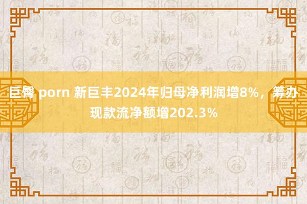 巨臀 porn 新巨丰2024年归母净利润增8%，筹办现款流净额增202.3%
