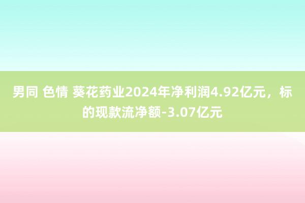 男同 色情 葵花药业2024年净利润4.92亿元，标的现款流净额-3.07亿元