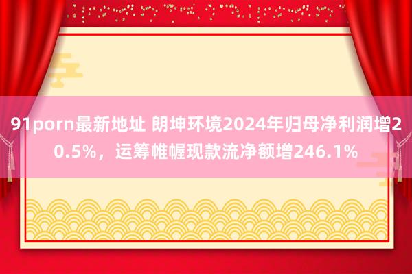 91porn最新地址 朗坤环境2024年归母净利润增20.5%，运筹帷幄现款流净额增246.1%