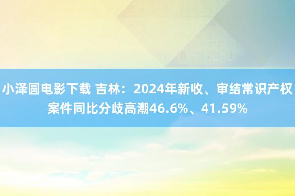 小泽圆电影下载 吉林：2024年新收、审结常识产权案件同比分歧高潮46.6%、41.59%