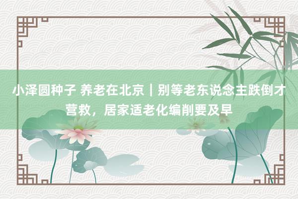 小泽圆种子 养老在北京｜别等老东说念主跌倒才营救，居家适老化编削要及早