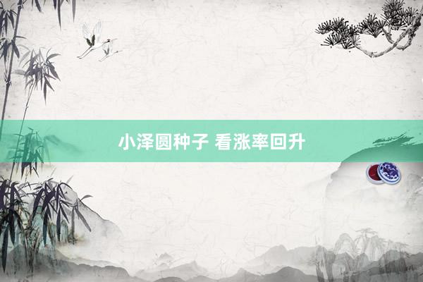 小泽圆种子 看涨率回升