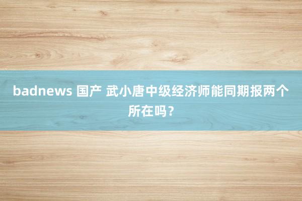 badnews 国产 武小唐中级经济师能同期报两个所在吗？