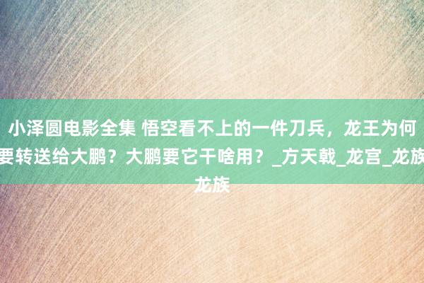 小泽圆电影全集 悟空看不上的一件刀兵，龙王为何要转送给大鹏？大鹏要它干啥用？_方天戟_龙宫_龙族