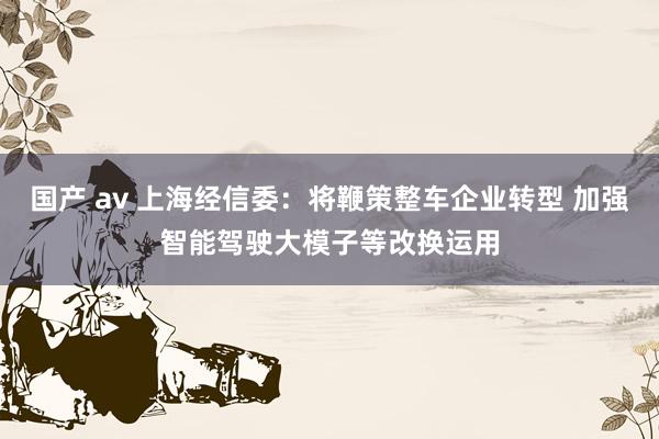 国产 av 上海经信委：将鞭策整车企业转型 加强智能驾驶大模子等改换运用