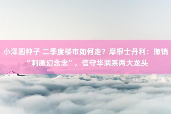 小泽圆种子 二季度楼市如何走？摩根士丹利：撤销 “刺激幻念念”，信守华润系两大龙头