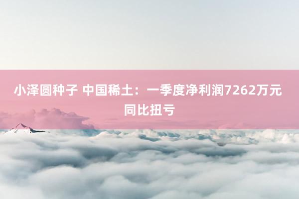 小泽圆种子 中国稀土：一季度净利润7262万元 同比扭亏