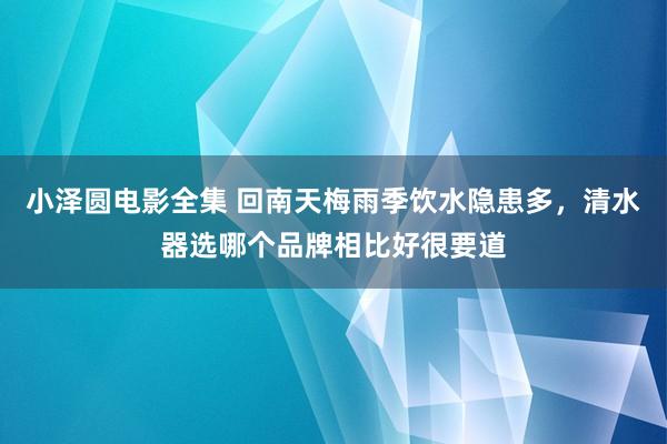 小泽圆电影全集 回南天梅雨季饮水隐患多，清水器选哪个品牌相比好很要道