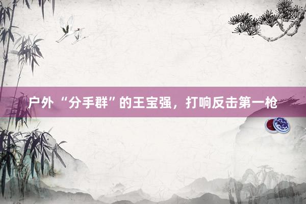 户外 “分手群”的王宝强，打响反击第一枪